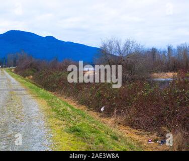 Dike road, Nicomen Isola, British Columbia, Canada Foto Stock