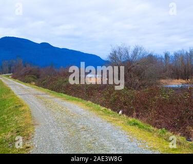 Dike road, Nicomen Isola, British Columbia, Canada Foto Stock