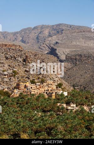 Il Palm grove, Misfat al Abriyyin, Ad Dakhiliyah regione, Oman Foto Stock