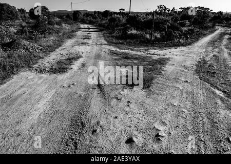 Una farm road forche nella regione di Overberg vicino al villaggio di Stanford in Sud Africa la provincia del Capo occidentale Foto Stock