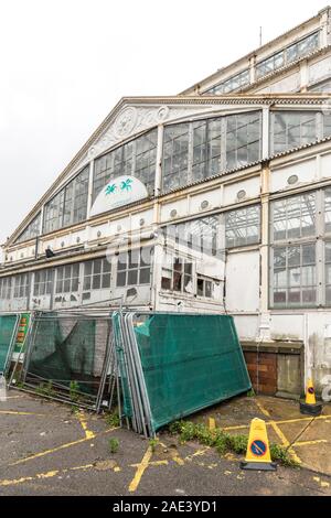 Winter Gardens, edificio abbandonato sul fronte mare, South Beach Parade, Great Yarmouth, Norfolk, Inghilterra, Regno Unito Foto Stock