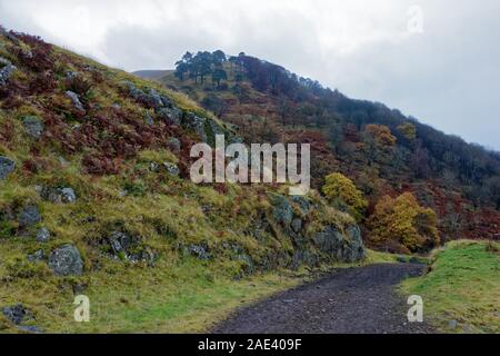 Una vista di legno Hill, Alva, Stirlingshire, Scozia Foto Stock