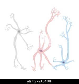 Celle di neurone set. Raccolta di cervello neurocyte. Vector illustartion. Illustrazione Vettoriale