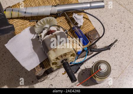 Bordo del prato string trimmer riparazione, smontaggio, la vista del suo interno motore elettrico Foto Stock