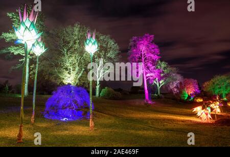 RHS Wisley, Surrey, Regno Unito. RHS Gardens Winter Glow 2019. Il 6 dicembre 2019. Anteprima del sentiero incantevole con luce scintillante installazioni intorno a tema Le quattro stagioni - dalla primavera narcisi lungo il canale Jellicoe al bucaneve su sette acri di terreno. Una selezione di Wisley più amati alberi illuminati e una spettacolare vista del laboratorio iconico tutto illuminato durante la stagione delle feste dal 7 dicembre 2019 - 5 gennaio 2020. Il ticketed evento ha venduto fuori in anticipo per il mese di dicembre. Credito: Malcolm Park/Alamy Live News. Foto Stock