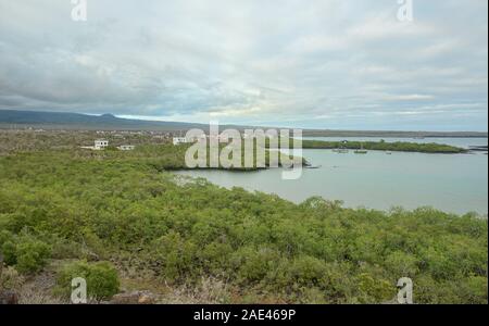 Vista di Puerto Ayora e bay, Isla Santa Cruz, Isole Galapagos, Ecuador Foto Stock