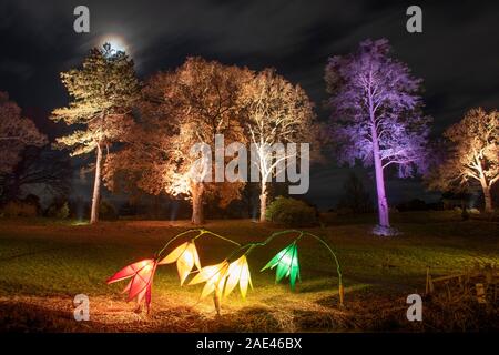 RHS Wisley, Surrey, Regno Unito. RHS Gardens Winter Glow 2019. Il 6 dicembre 2019. Anteprima del sentiero incantevole con luce scintillante installazioni intorno a tema Le quattro stagioni - dalla primavera narcisi lungo il canale Jellicoe al bucaneve su sette acri di terreno. Una selezione di Wisley più amati alberi illuminati e una spettacolare vista del laboratorio iconico tutto illuminato durante la stagione delle feste dal 7 dicembre 2019 - 5 gennaio 2020. Il ticketed evento ha venduto fuori in anticipo per il mese di dicembre. Credito: Malcolm Park/Alamy Live News. Foto Stock