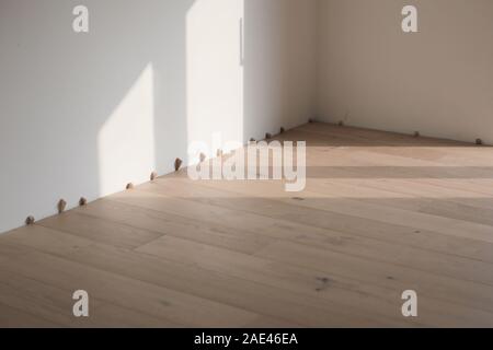 Nuovo laminato o parquet installazione in home casa Foto Stock