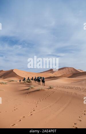 Carovana di cammelli che camminano attraverso il deserto del Sahara in Marocco, Africa Foto Stock