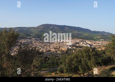 Paesaggio urbano di Fes in Marocco in una serata soleggiata Foto Stock