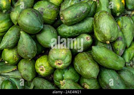 Visualizzazione di molte papaya o pawpaws in una luminosa di pelle verde trovata per la vendita in un mercato ferroviario a Mandalay, Myanmar (Birmania) Foto Stock