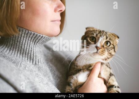 Donna che mantiene bel gatto su sfondo bianco Foto Stock