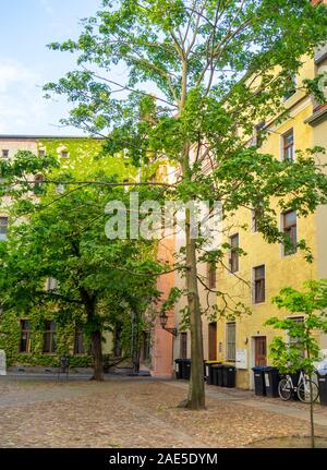 Kirchplatz case e appartamenti che circondano la chiesa di Saint Marien Stadtkirche Lutherstadt Wittenberg Sassonia-Anhalt Germania Foto Stock