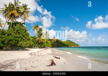 Manzanillo beach sull'isola di Providencia in Colombia. Foto Stock