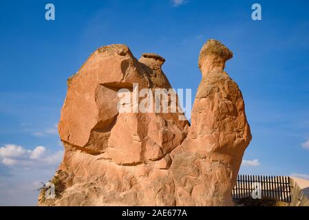 Camel Rock a valle di Devrent / Valle immaginaria, una valle piena di uniche formazioni rocciose in Cappadocia, Turchia Foto Stock