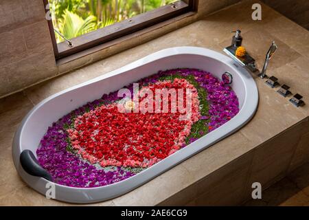 Un romantico bagno con fiori diversi rendendo a forma di cuore con la finestra aperta Foto Stock