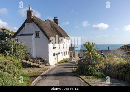 Tradizionalmente cottage con il tetto di paglia (Mariners cottage) nella chiesa Cove, lucertola, Cornwall, Regno Unito Foto Stock