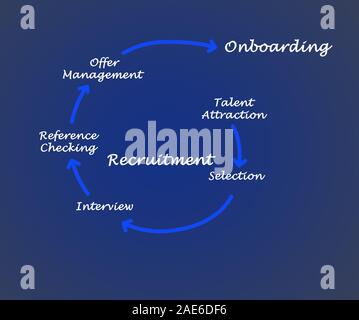 Diagramma del processo di recrutment Foto Stock