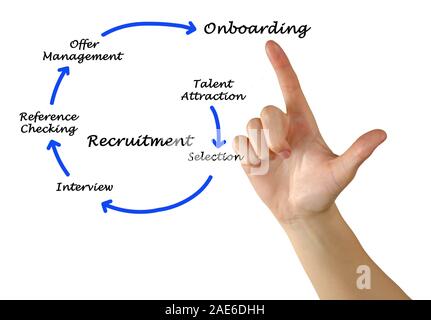 Diagramma del processo di recrutment Foto Stock