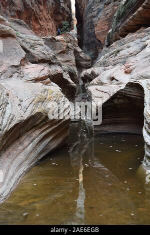 Acqua-arenaria scolpite in esecuzione attraverso Echo Canyon. In Oriente il sentiero mesa a punto di osservazione nel Parco Nazionale di Zion. Foto Stock