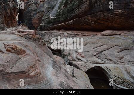 Acqua-arenaria scolpite in esecuzione attraverso Echo Canyon. In Oriente il sentiero mesa a punto di osservazione nel Parco Nazionale di Zion. Foto Stock