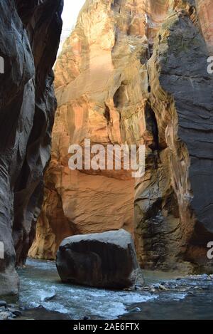 Boulder nel percorso della Vergine, il fiume che scorre attraverso la sezione si restringe del Parco Nazionale di Zion. Luce lava i canyon di arenaria dietro. Foto Stock