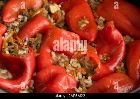 Pronto per mangiare farcite peperone rosso con carne macinata, riso e verdure Foto Stock