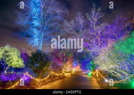 RHS Wisley, Surrey, Regno Unito. RHS Gardens Winter Glow 2019. Il 6 dicembre 2019. Sentiero incantevole con luce scintillante installazioni a tema Le quattro stagioni tutte illuminate di notte durante la stagione delle feste dal 7 dicembre 2019 - 5 gennaio 2020. Il ticketed evento ha venduto fuori in anticipo per il mese di dicembre. Credito: Malcolm Park/Alamy. Foto Stock