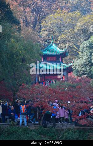 Changsha, provincia cinese di Hunan. Il 7 dicembre, 2019. Vista turisti foglie di acero su Yuelu Mountain a Changsha, centrale provincia cinese di Hunan, 7 dicembre, 2019. Credito: Xue Yuge/Xinhua/Alamy Live News Foto Stock