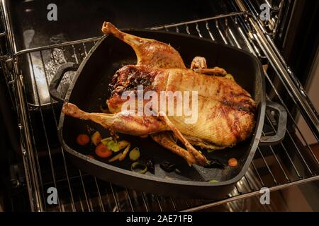 Anatra intero arrostito in una padella nera su una griglia nel forno per una festa di Natale menu messa a fuoco selezionata Foto Stock