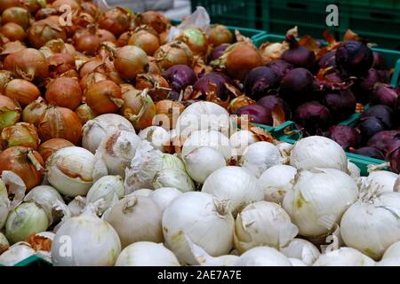 Verdure di stagione sono impilati in scatole presso il negozio di alimentari. Nelle vicinanze ci sono il giallo, bianco e le cipolle rosse. Prodotti naturali per la cottura di cibi sani. Foto Stock