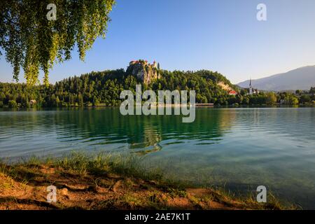 Il vecchio castello di Bled, Slovenia, bella vista sul lago Foto Stock