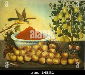 Still Life: frutta, uccelli, e Nano Pear Tree; 1856data Carlo V Bond, Still Life - frutta, uccelli, e Nano Pear Tree, 1856 Foto Stock