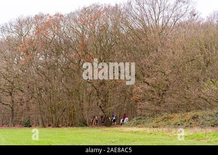 Belfairs scuola di equitazione, pony bici attraverso Belfairs Parco bosco. Equitazione attraverso gli alberi. Cavalcare pony attraverso gli alberi della zona boscosa, Essex, Regno Unito Foto Stock