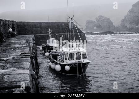 Barche da pesca in Cove Harbour su un nebbioso giorno Foto Stock