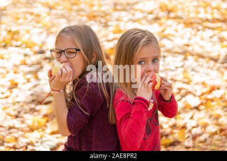 Due piccoli belle ragazze felicemente mangiare le mele in foglie di autunno Foto Stock