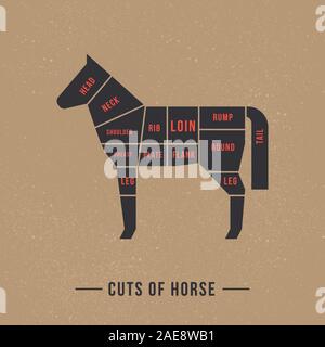 Lo schema di taglio di un cavallo in in un vettore. Illustrazione Vettoriale