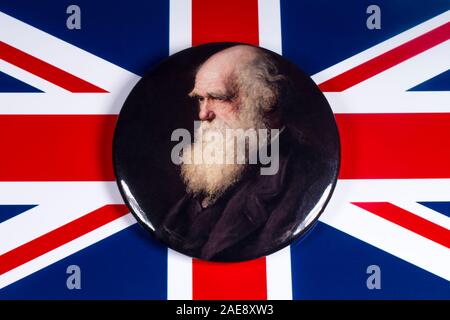 London, Regno Unito - 3 Dicembre 2019: un pin distintivo con un ritratto di Charles Darwin - il celebre naturalista britannico, geologo e biologo, raffigurato su Foto Stock