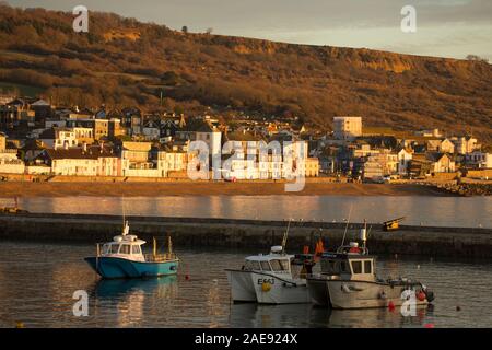 Fascia costiera di barche da pesca e altre navi ormeggiate in Lyme Regis porto ai primi di dicembre. Lyme Regis è situato sulla costa del patrimonio o Jurassic Coast Foto Stock