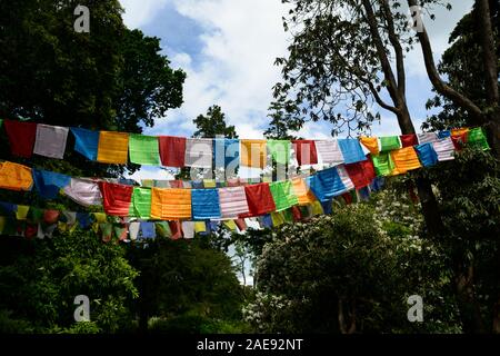 Preghiera tibetano bandiere,bandiera,simbolo religioso,simbolismo,simbolica,giardino,giardino,la pace,tranquillo,RM Floral Foto Stock