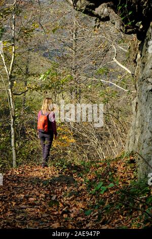 Il trekking godendo di autunno a Trabzon tonya yakçukur Foto Stock