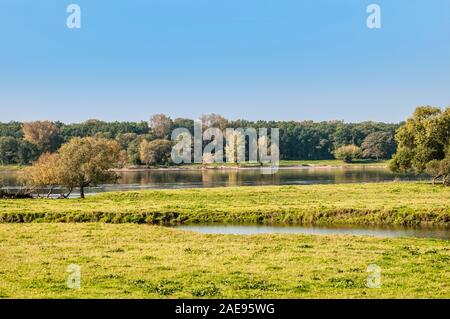 Elba ciclabile, sponda est del fiume Elba, pianura alluvionale tra Wittenberg e Lenzen, Brandeburgo, Germania, Europa Foto Stock