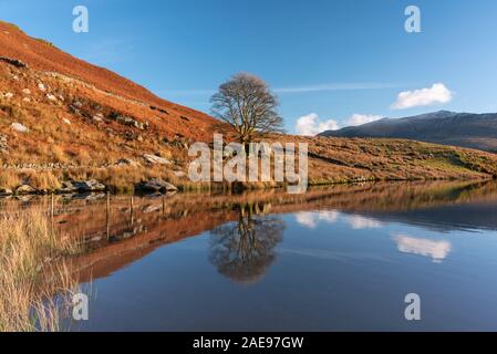 Vedute panoramiche del Llyn y Dywarchen, Snowdon e Y Garn durante l'inverno nel Parco Nazionale di Snowdonia, il Galles del Nord. Foto Stock