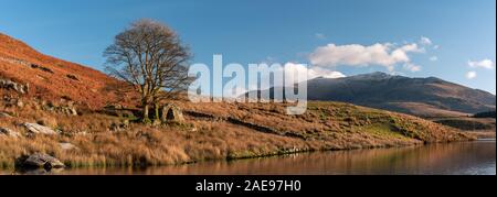 Vedute panoramiche del Llyn y Dywarchen, Snowdon e Y Garn durante l'inverno nel Parco Nazionale di Snowdonia, il Galles del Nord. Foto Stock