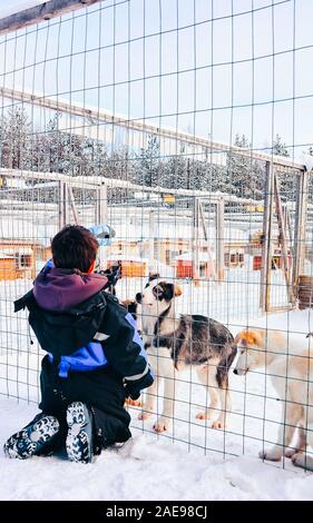 Bambini che giocano con Husky cuccioli di cane in Finlandia in Lapponia reflex Foto Stock