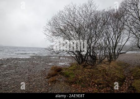 Loch Lomond sotto la pioggia Foto Stock