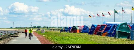 Due ciclisti che viaggiano in bicicletta sulla Elbe Cycling Route su un ciclone accanto a strandkorbs lungo il fiume Elba Cuxhaven bassa Sassonia Germania Foto Stock