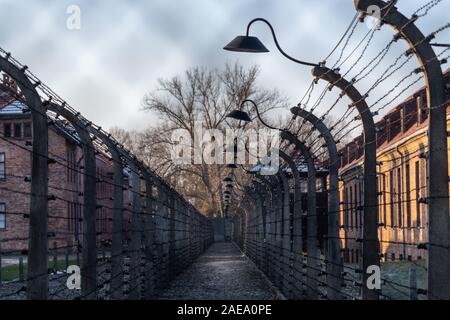 Oswiecim, Polonia. 06 Dic, 2019. Vista del filo spinato recinzioni della ex Germania campo di concentramento di Auschwitz. Credito: Robert Michael/dpa-Zentralbild/dpa/Alamy Live News Foto Stock