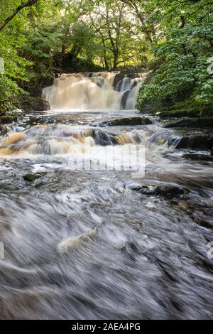 Covenanters cascata, Santo Linn, Garple masterizzare, vicino a St Johns Town di Dalry, Dumfries & Galloway, Scozia Foto Stock