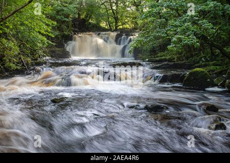 Covenanters cascata, Santo Linn, Garple masterizzare, vicino a St Johns Town di Dalry, Dumfries & Galloway, Scozia Foto Stock